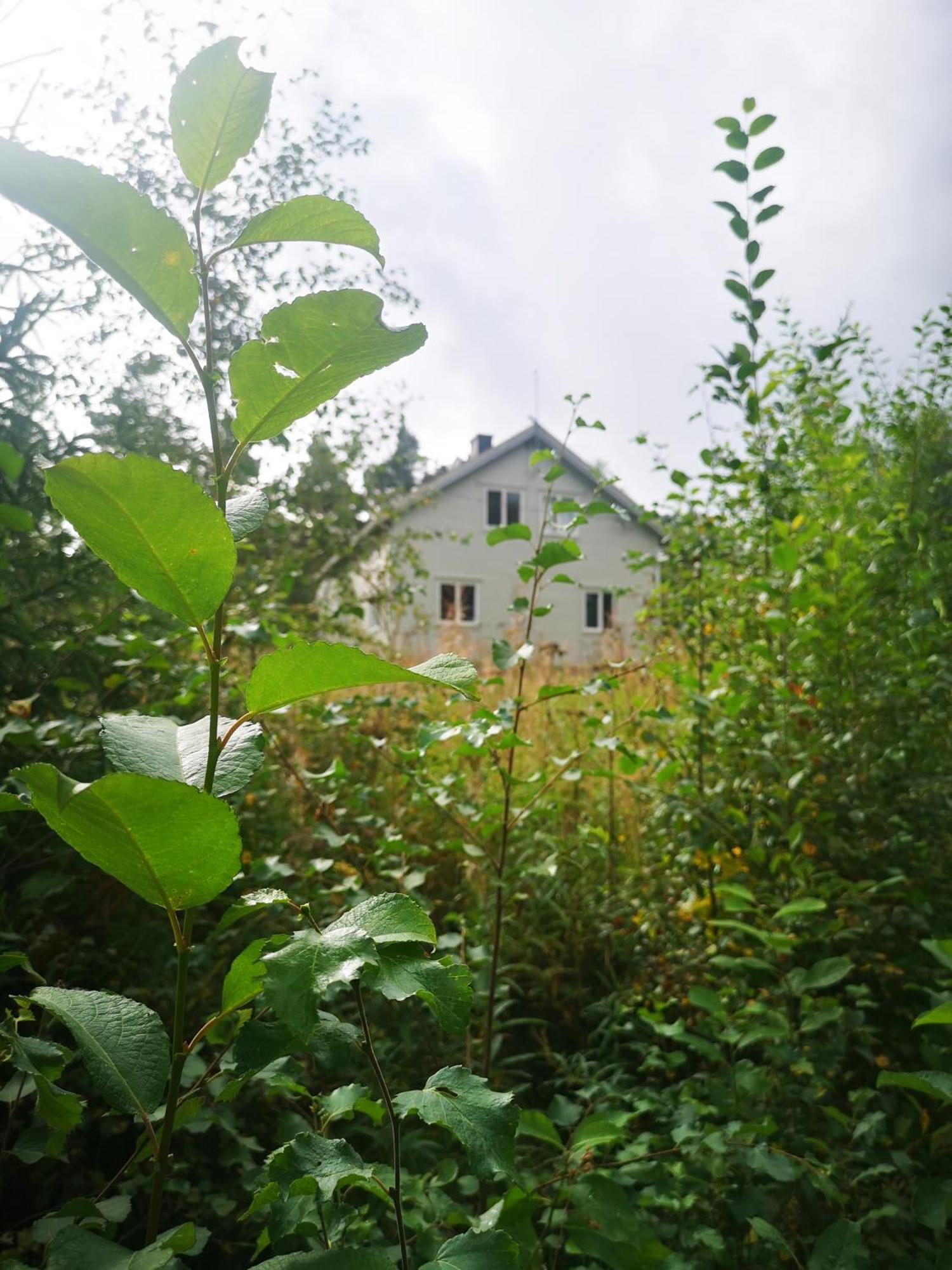 Villa Ka Stor Elvdal Koppang Экстерьер фото