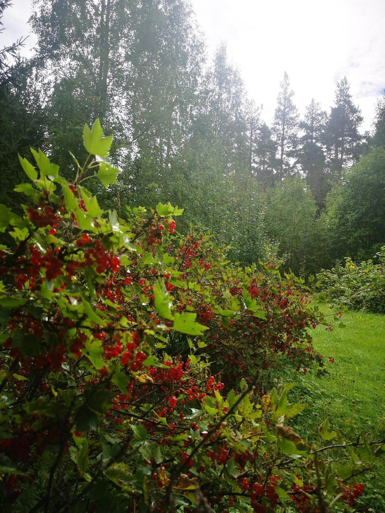 Villa Ka Stor Elvdal Koppang Экстерьер фото