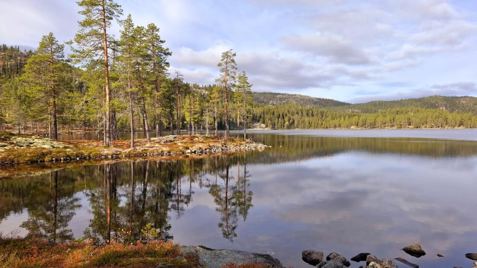 Villa Ka Stor Elvdal Koppang Экстерьер фото