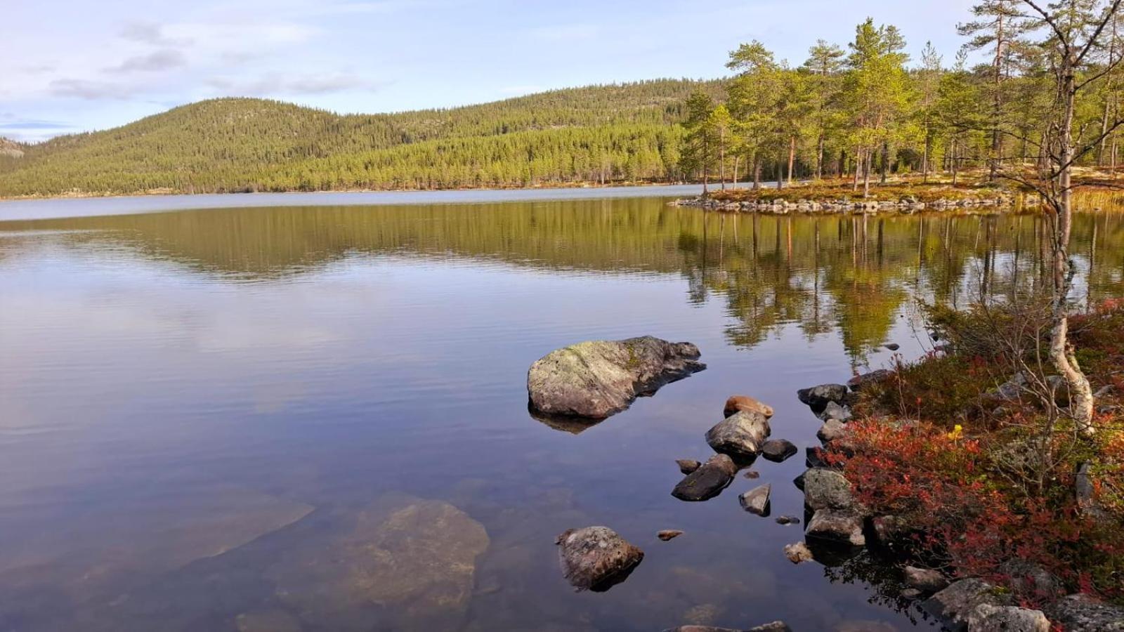 Villa Ka Stor Elvdal Koppang Экстерьер фото
